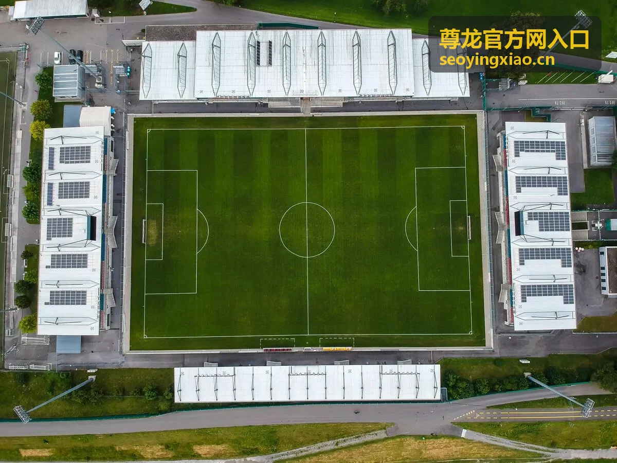 安全访问尊龙官方网入口的注意事项