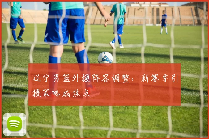 辽宁男篮外援阵容调整，新赛季引援策略成焦点