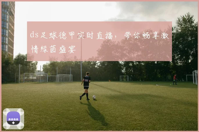 ds足球德甲实时直播,带你畅享激情绿茵盛宴