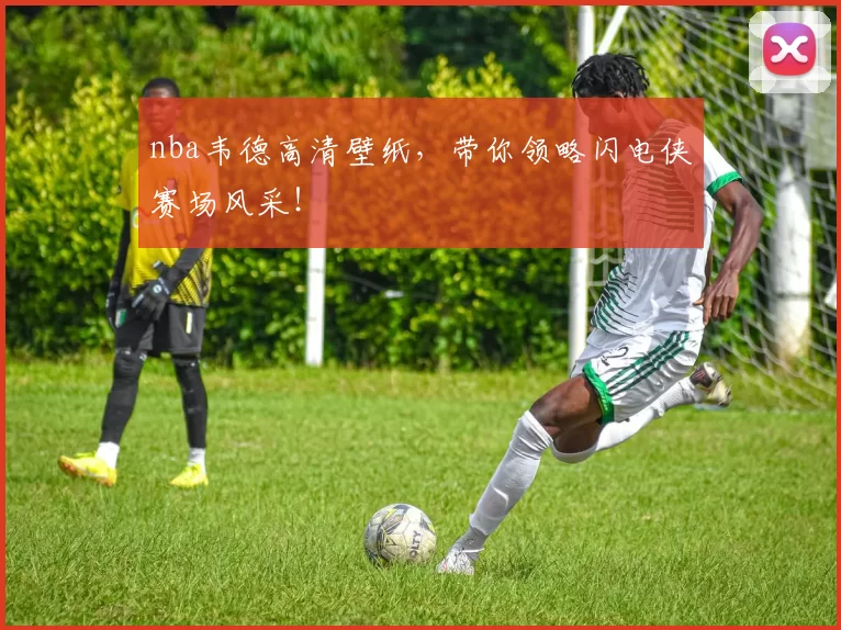 nba韦德高清壁纸,带你领略闪电侠赛场风采!