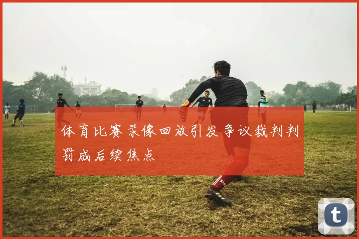 体育比赛录像回放引发争议裁判判罚成后续焦点