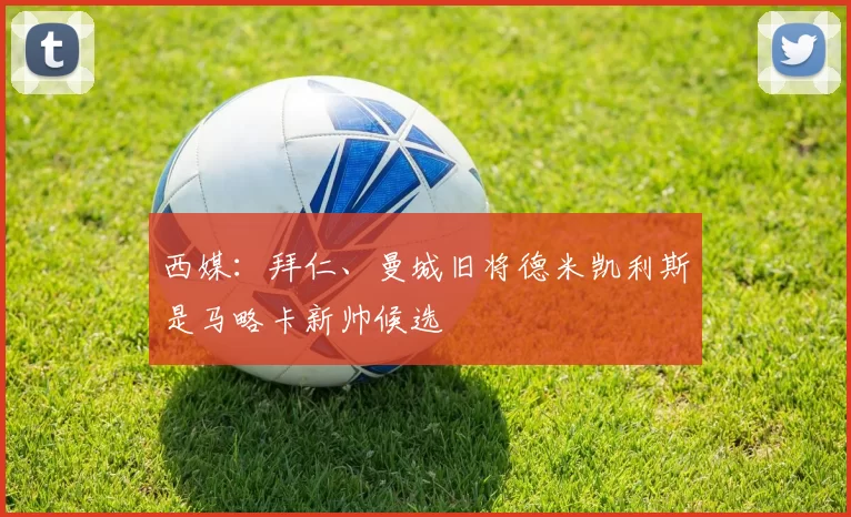 西媒：拜仁、曼城旧将德米凯利斯是马略卡新帅候选