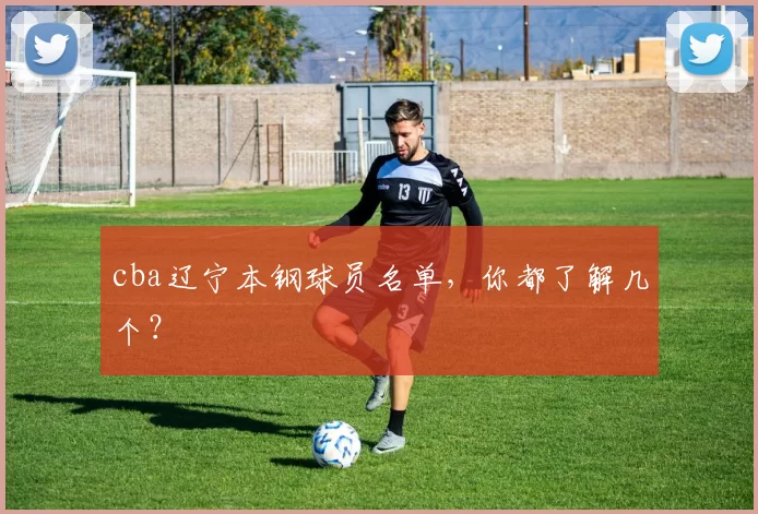 cba辽宁本钢球员名单，你都了解几个？