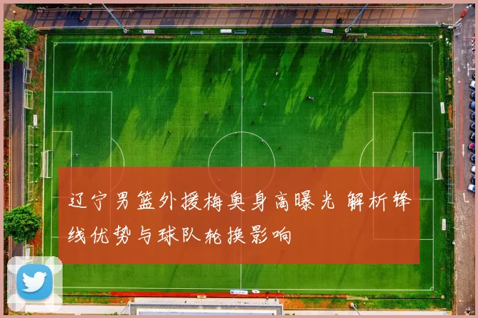 辽宁男篮外援梅奥身高曝光 解析锋线优势与球队轮换影响