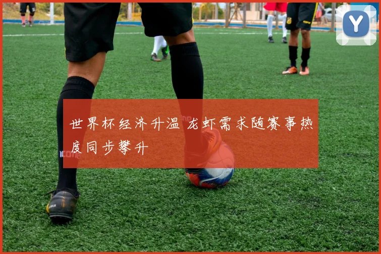 世界杯经济升温 龙虾需求随赛事热度同步攀升