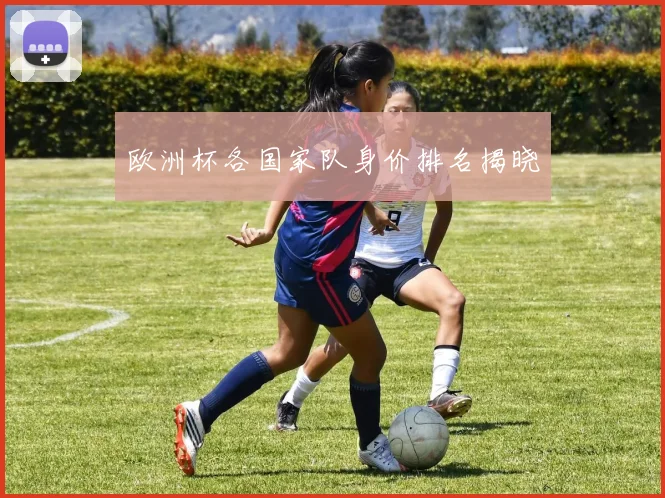 欧洲杯各国家队身价排名揭晓
