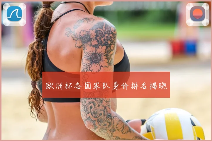欧洲杯各国家队身价排名揭晓