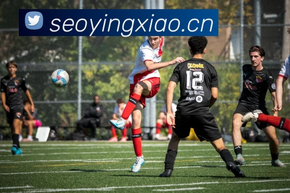 开云(中国)Kaiyun·官方网站 - 登录入口APP 高清赛事图